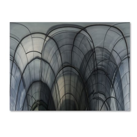 Luc Vangindertael 'Cobweb Cathedral' Canvas Art,18x24